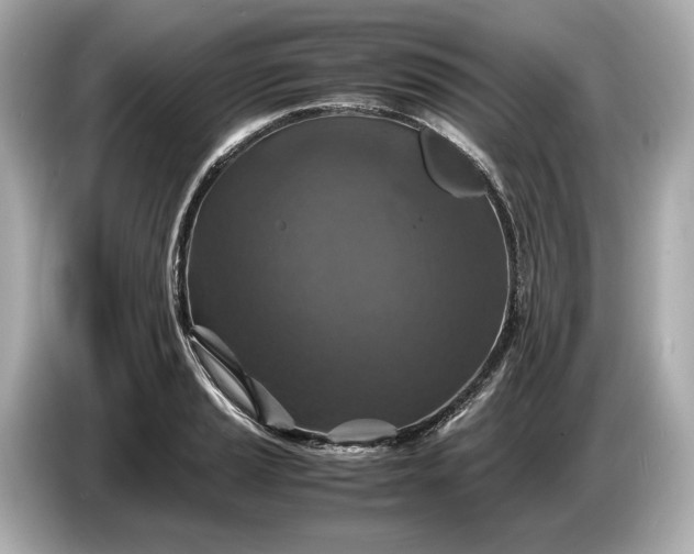 X0000086961037200704301233