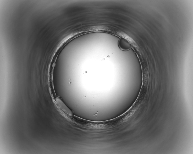 X0000086961039200704301233