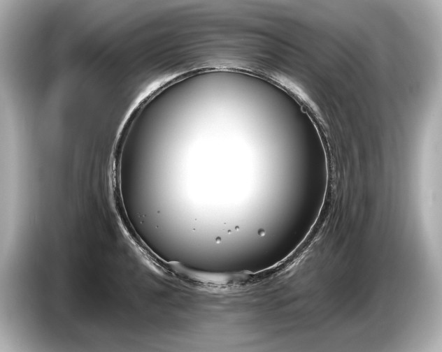 X0000086961040200704301233