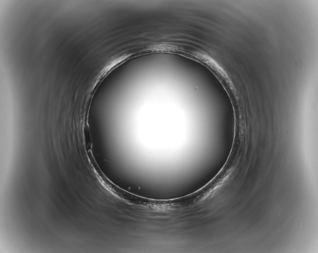 X0000086961041200704301233