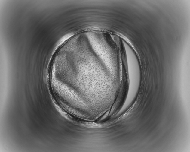 X0000086961042200704301233