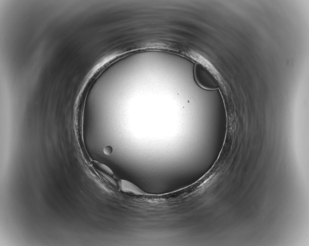 X0000086961043200704301233
