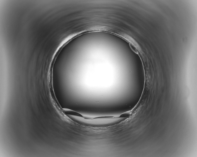 X0000086961044200704301233