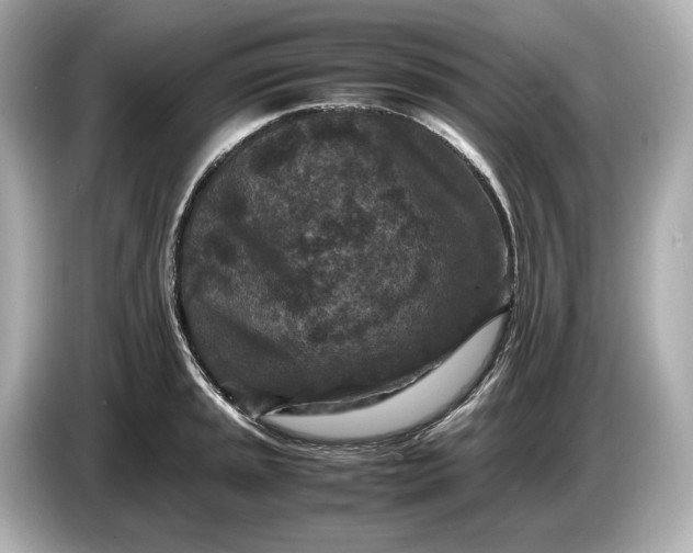 X0000086961045200704301234