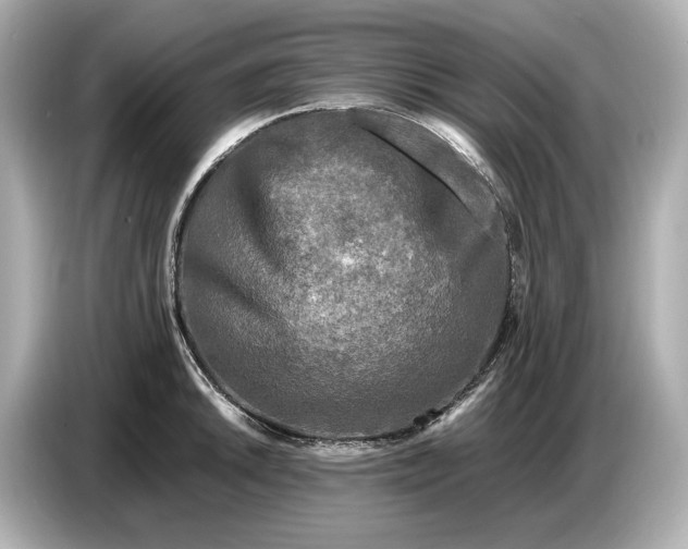 X0000086961046200704301234