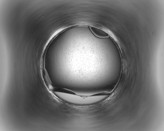 X0000086961048200704301234