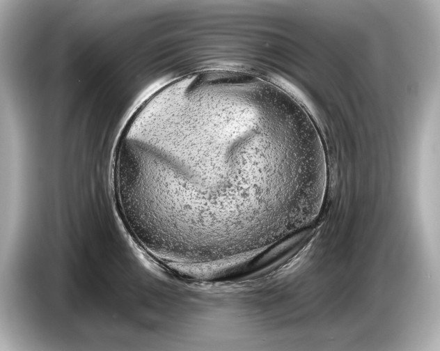 X0000086961050200704301234