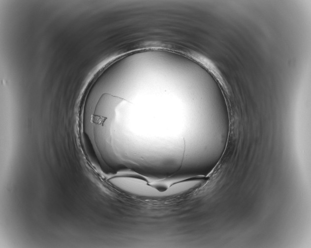 X0000086961051200704301234