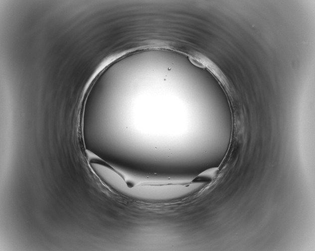 X0000086961052200704301234
