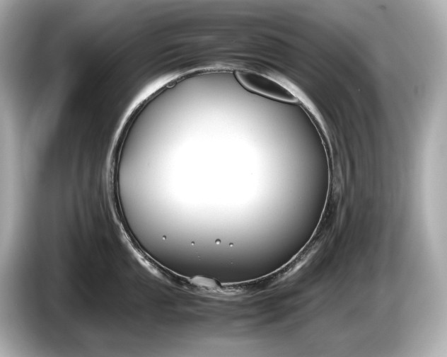 X0000086961053200704301234