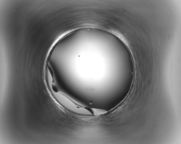 X0000086961056200704301234
