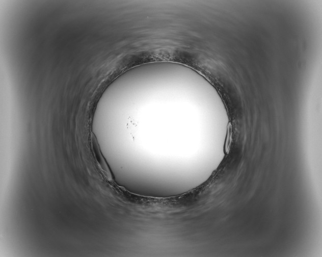 X0000086961057200704301233