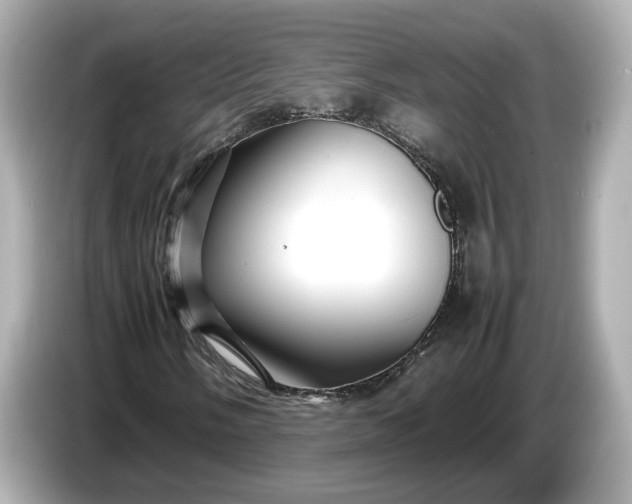 X0000086961058200704301233