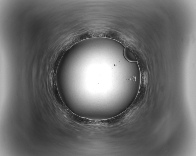 X0000086961059200704301233