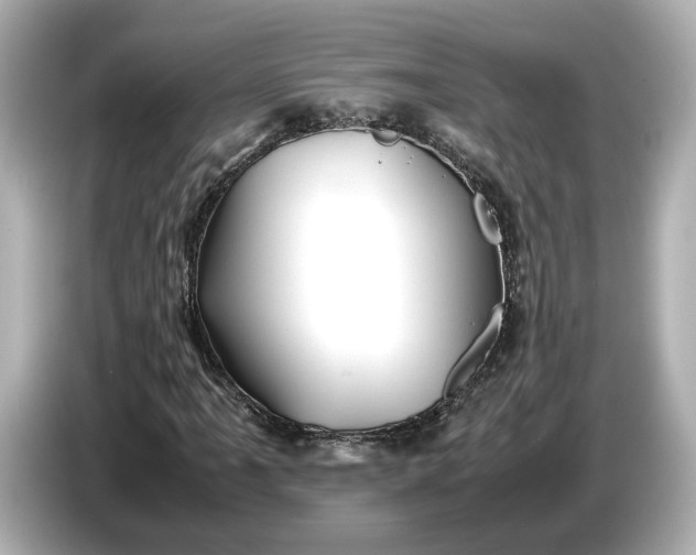 X0000086961061200704301233