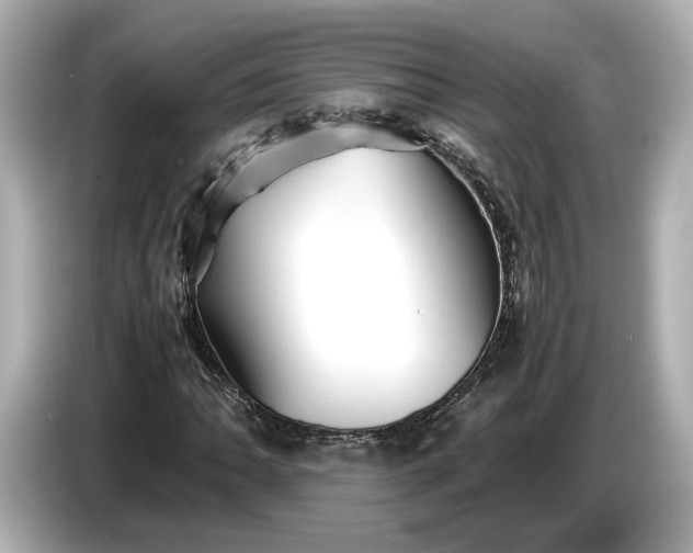X0000086961062200704301233