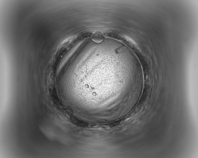 X0000086961063200704301233