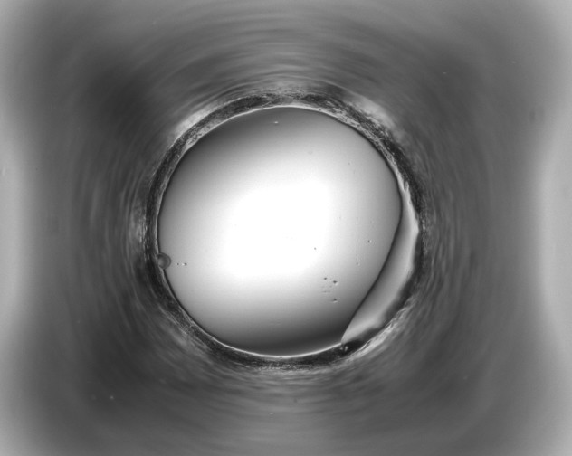 X0000086961065200704301233