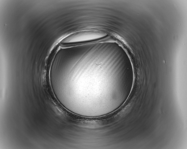 X0000086961066200704301233