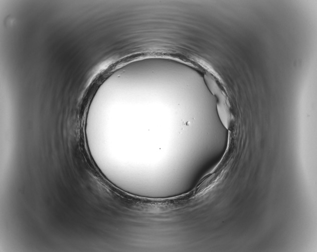 X0000086961067200704301233