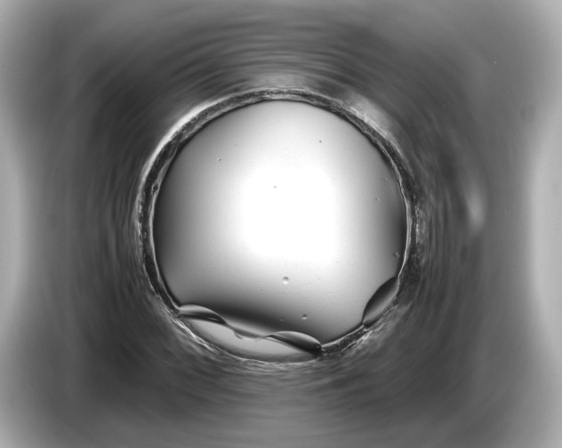 X0000086961068200704301233