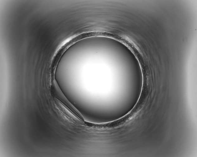 X0000086961069200704301233