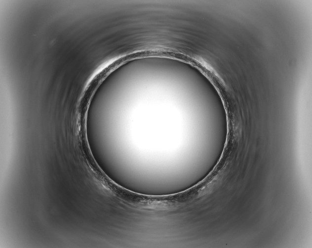 X0000086961070200704301233