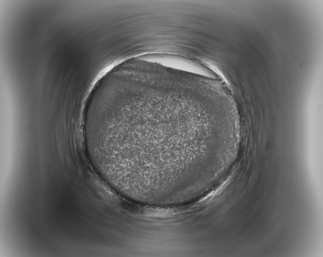 X0000086961071200704301233