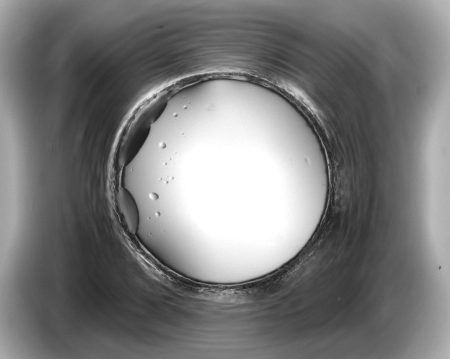 X0000086961072200704301233