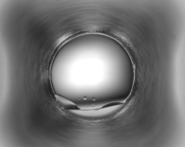 X0000086961073200704301233