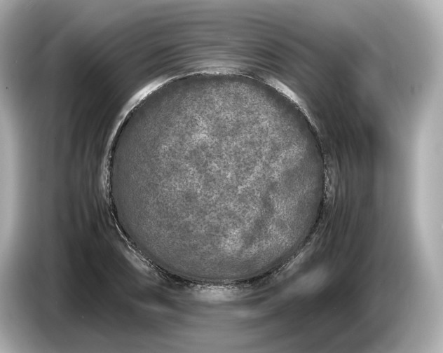 X0000086961074200704301233