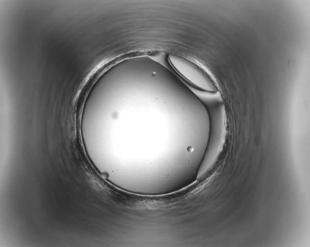 X0000086961075200704301233
