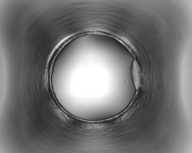 X0000086961076200704301233