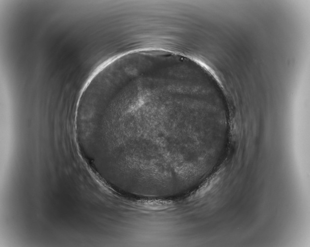 X0000086961077200704301233