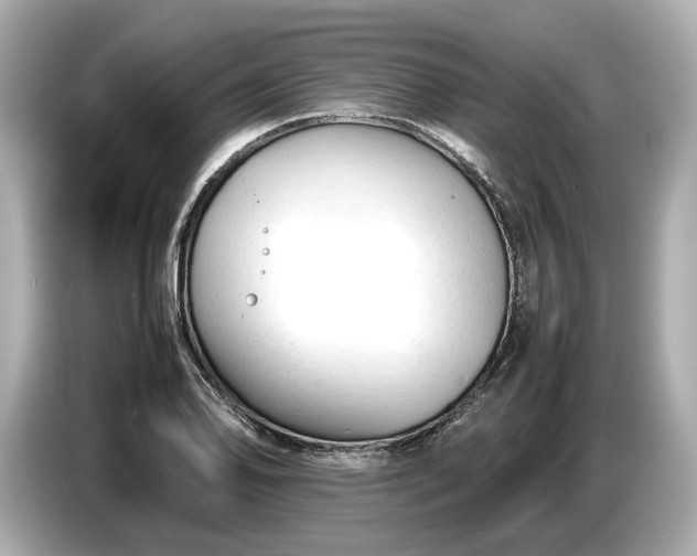 X0000086961078200704301233