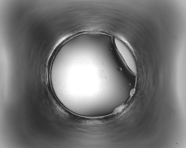 X0000086961079200704301233