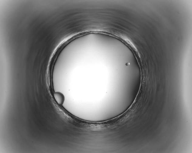 X0000086961080200704301233