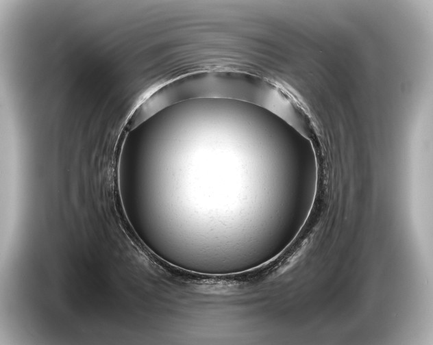 X0000086961081200704301233