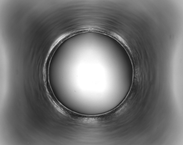 X0000086961082200704301233