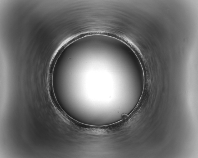 X0000086961085200704301233
