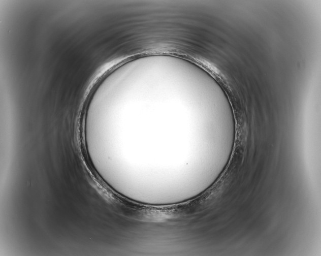 X0000086961086200704301233