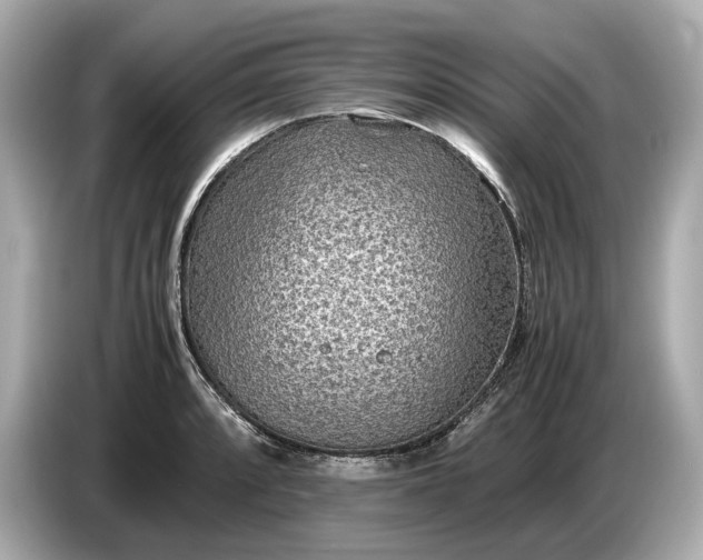 X0000086961088200704301233