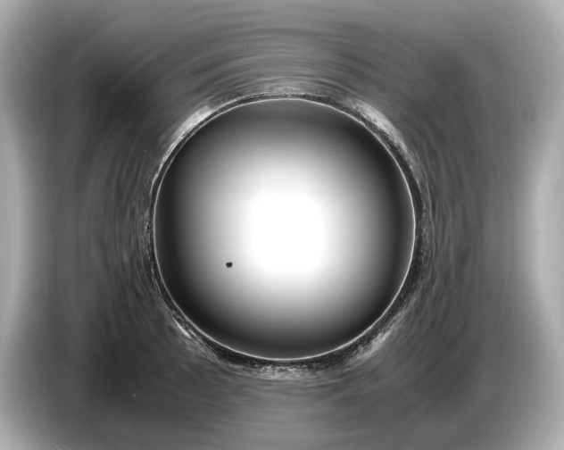 X0000086961089200704301233