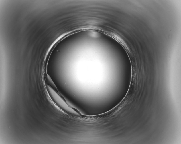 X0000086961092200704301233
