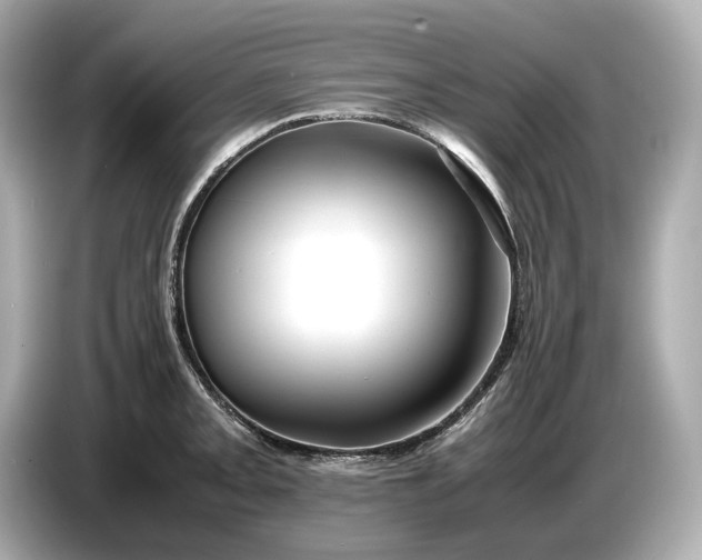 X0000086961093200704301233