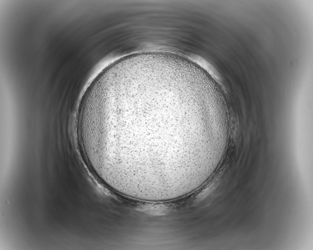 X0000086961094200704301233