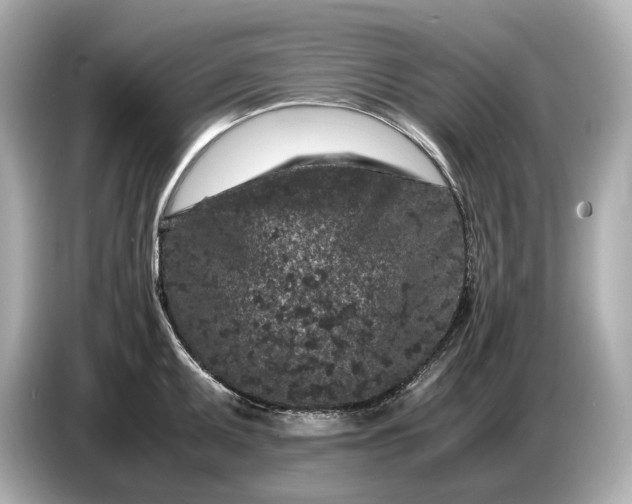 X0000086961095200704301233