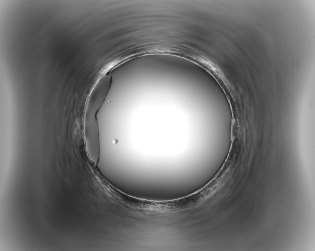 X0000086961097200704301233