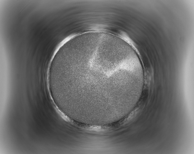 X0000086961098200704301233