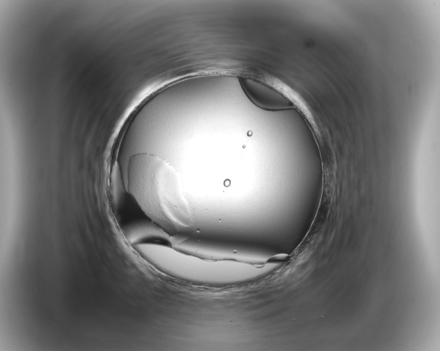 X0000086961099200704301232